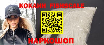 мдпв Камышлов