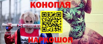 мдпв Камышлов